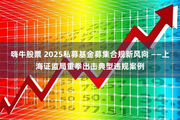 嗨牛股票 2025私募基金募集合规新风向 ——上海证监局重拳出击典型违规案例