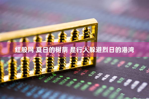 红股网 夏日的树荫 是行人躲避烈日的港湾