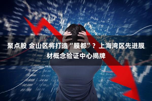 聚点股 金山区将打造“膜都”？上海湾区先进膜材概念验证中心揭牌